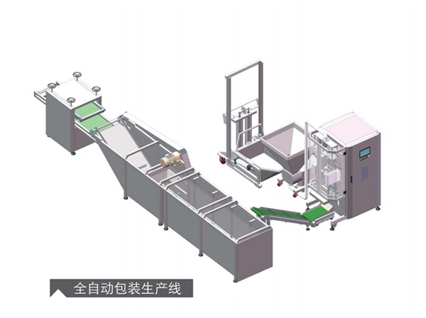 <b>全自動包裝生產線</b>